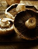 Mushrooms stuffed