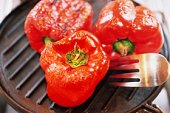 Grilled Pepper Salad